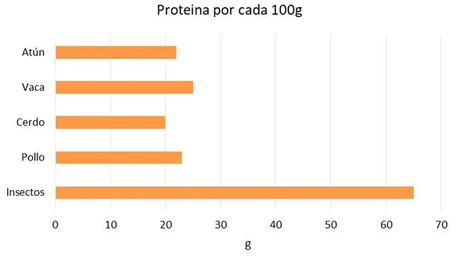 proteina por 100g